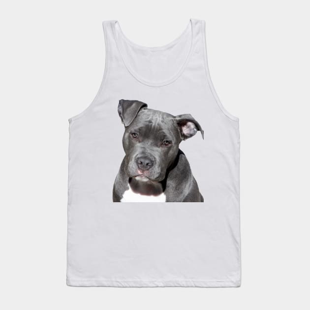 I love Pitbull! Tank Top by ggustavoo